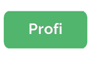 Ремонт сигвеев Profi